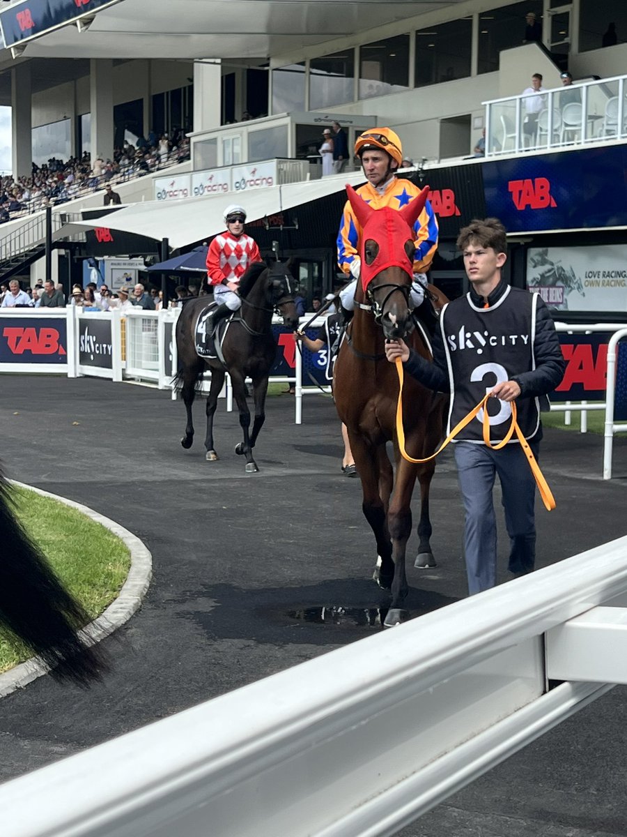 TeAkauRacing's tweet photo. Stunning win by our Home Affairs’ colt Kinnaird - to take out the G2 Eclipse Stakes - the stable’s 6th win of this race & second for the day @Ellerslie_Races - gun ride @opie_bosson & brave this boy we know as ‘Dustin’ - bought by David Ellis CNZM - he’s now Karaka Millions’ bound - well done team - NZ season win 59 #thewinningcontinues