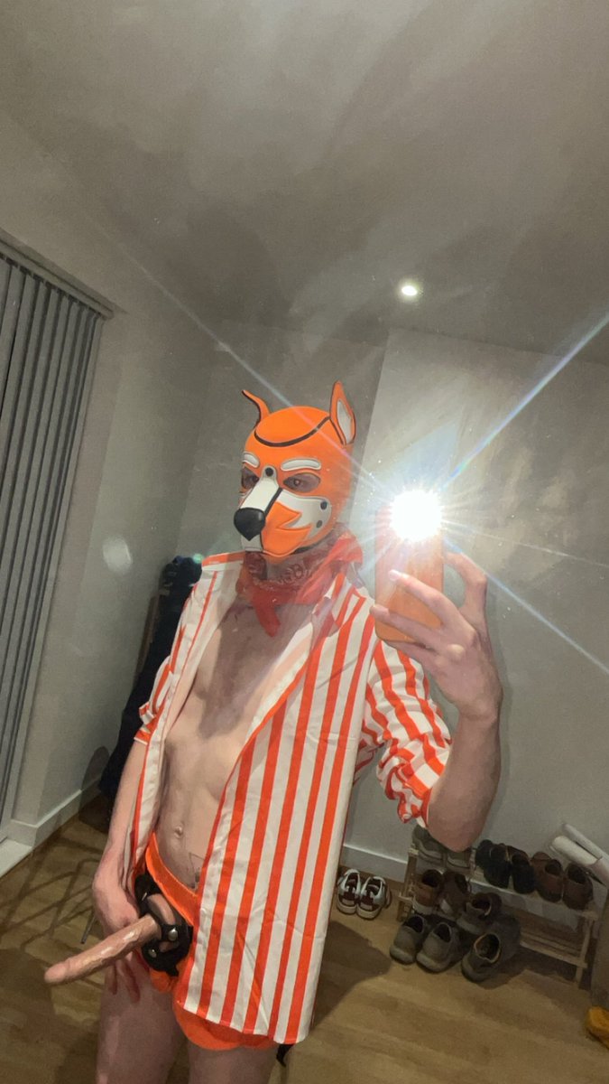 PuptheChipper 🔜 B&Q tweet media