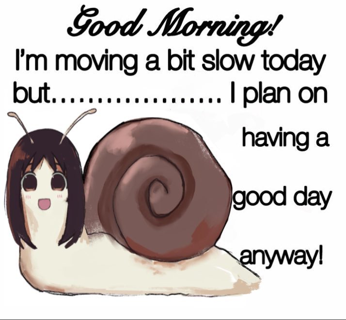 icantritemeow's tweet photo. 2025 https://t.co/k6IEA2mvxc