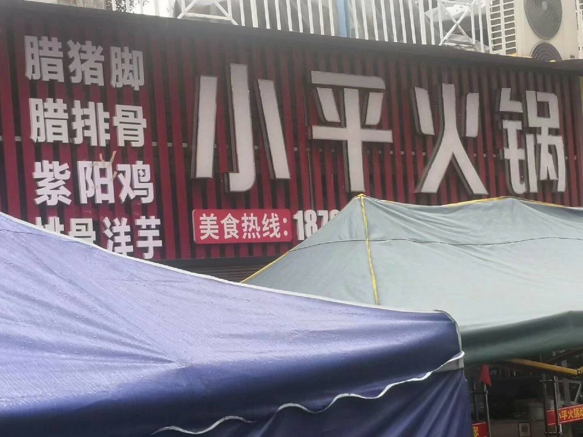 🇵🇸听拳赏鸟👷 ⚔️ {🇨🇳🤝🇺🇸} tweet media