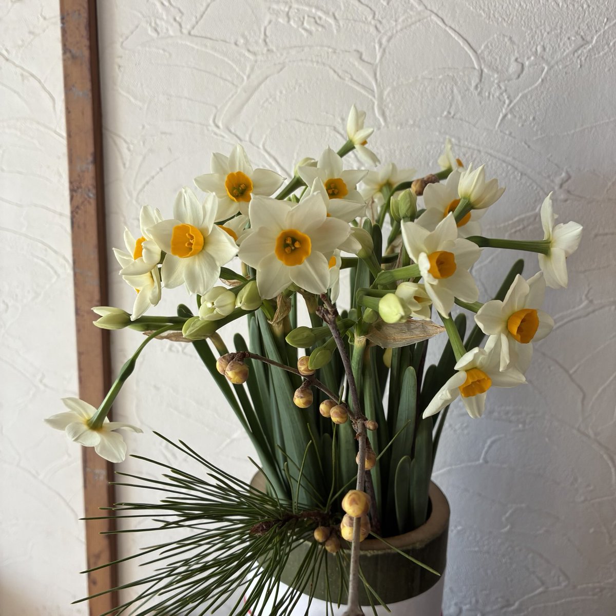 かおりんごです かおりんご🍏 (@kaoringogo2021) / Posts / X