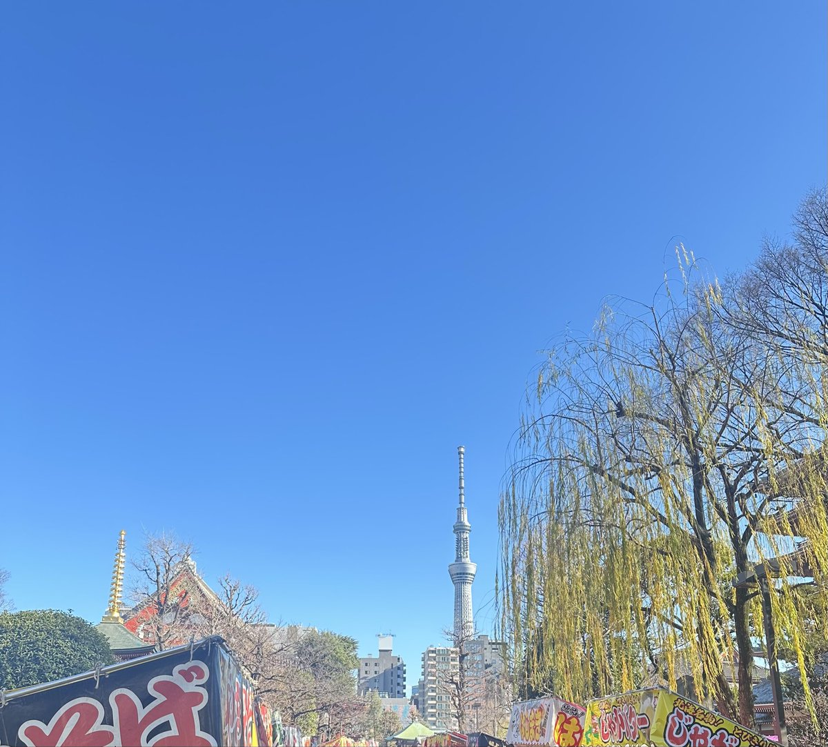 令和八年度
#浅草寺参拝タイムアタック 
52:44.96 でした‼︎
いつもよりかなり
短かったのではないでしょうか？

三題噺を意識して
333円入れてお祈りしてきました。