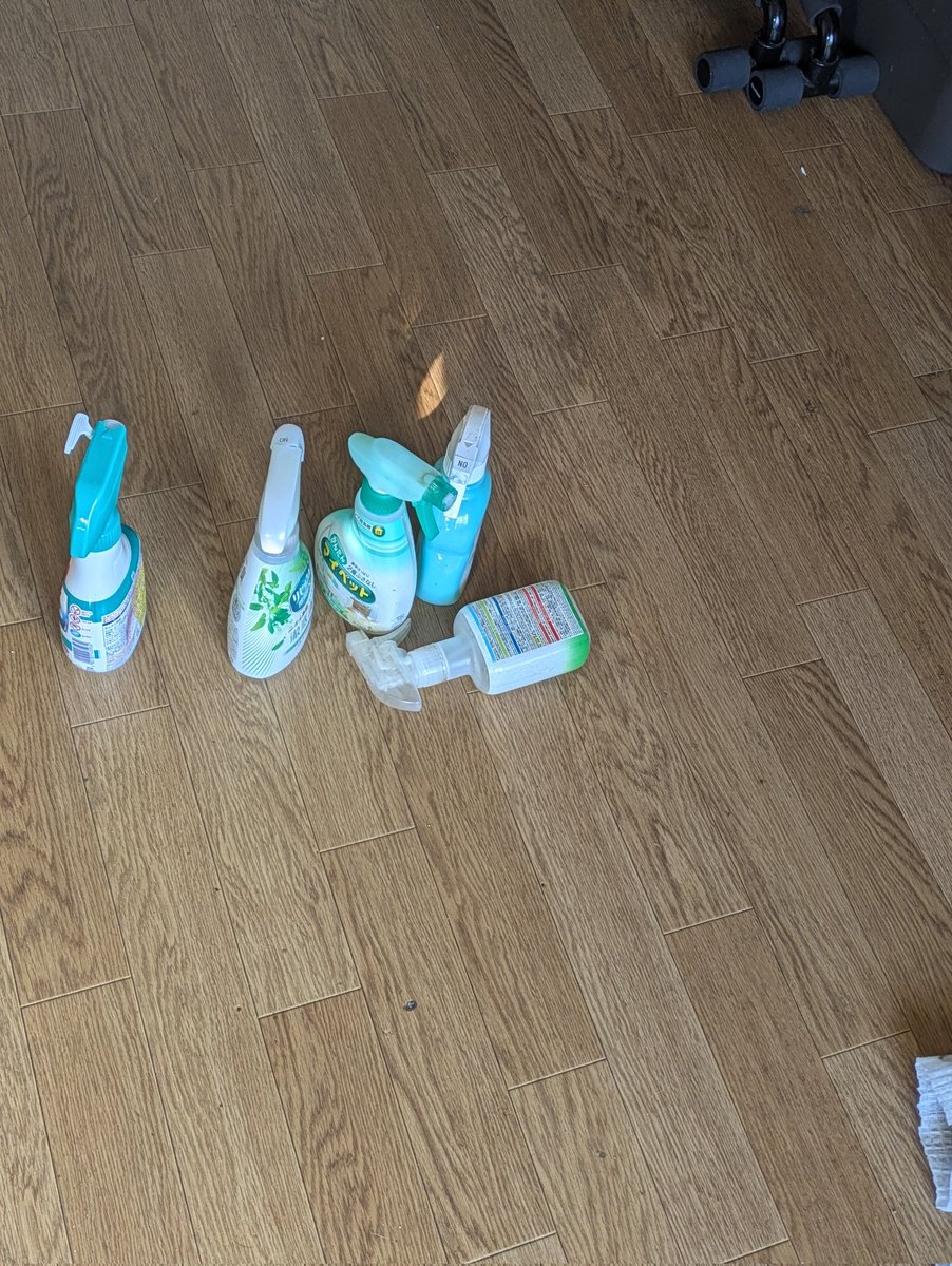 掃除洗濯ウーロンハイ