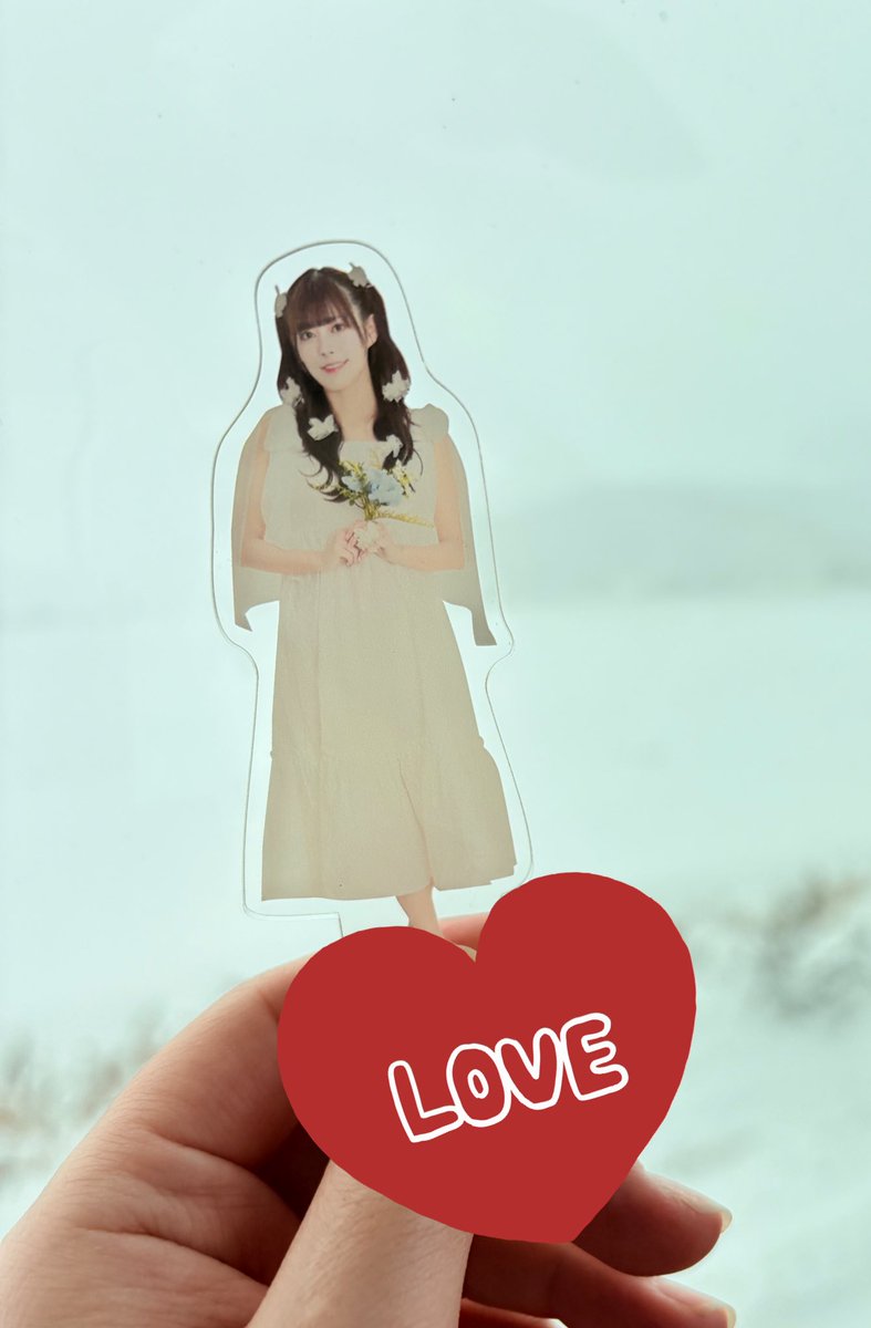 明けましておめでとうございます🎍✨
2026年は雪景色で始まりました
今年もよろしくお願いします🙇‍♀️
ナオちゃんも外も真っ白だぁ❄️
#豆柴の大群
#ナオ・オブ・ナオ