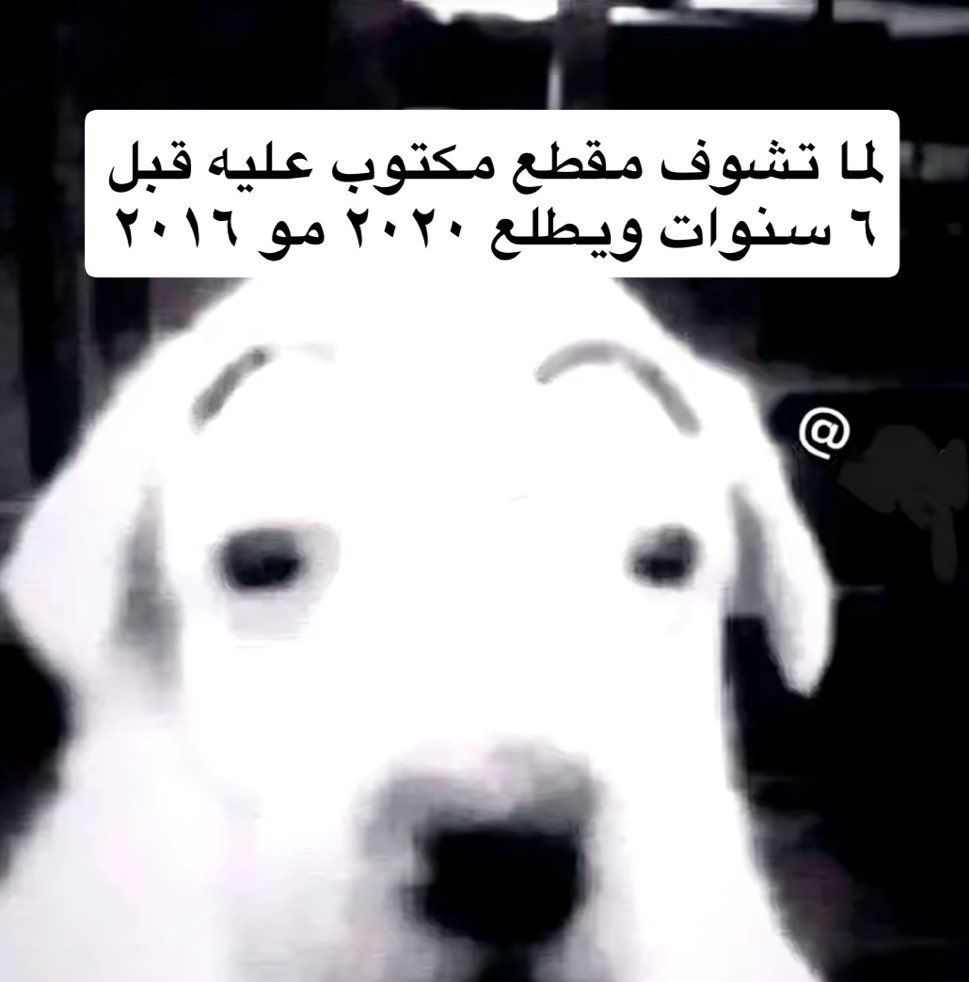 iih4u's tweet image. 