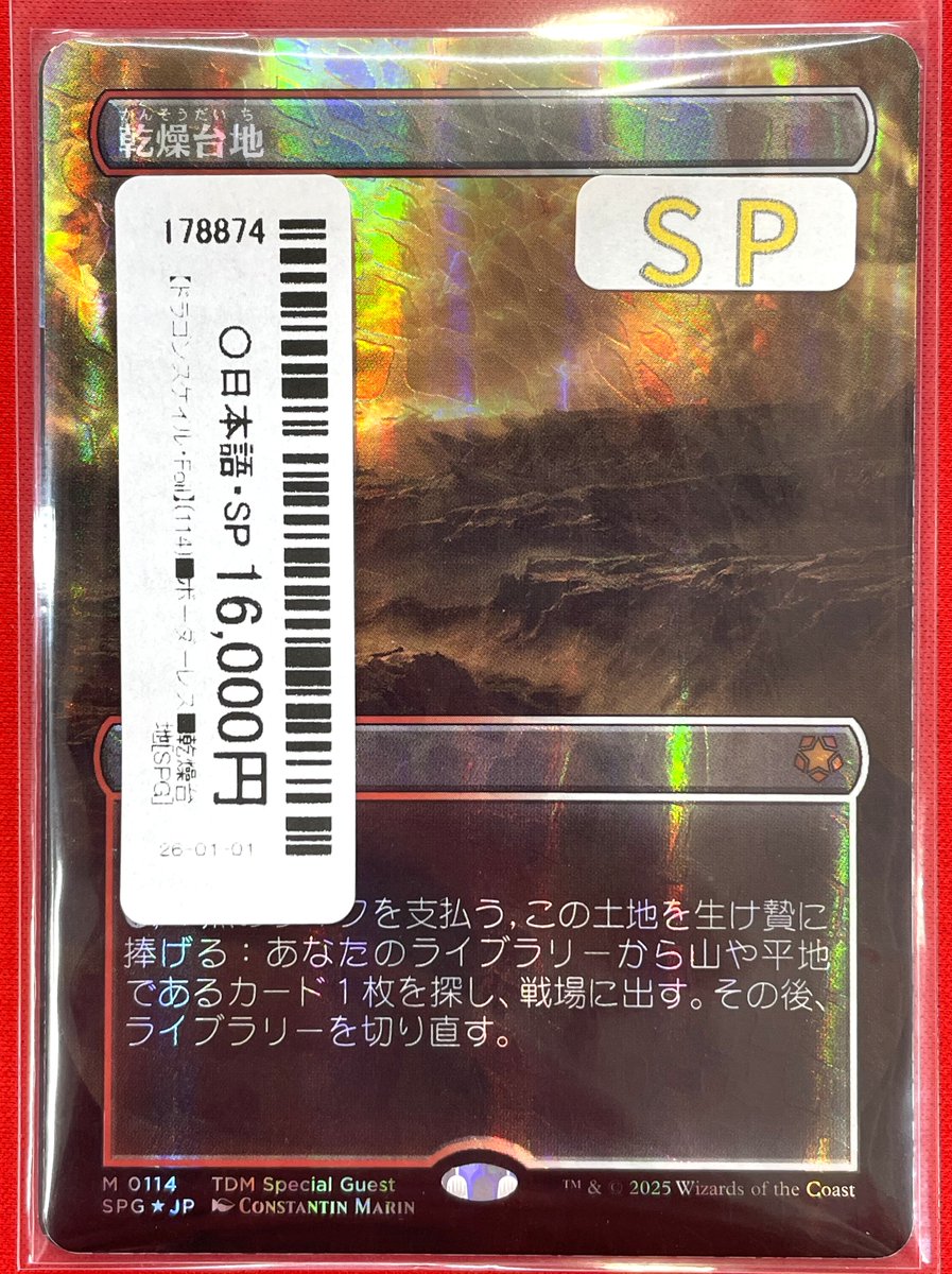 商品情報】 『極』に新しいカードを追加🎉 【ドラゴンスケイル・Foil