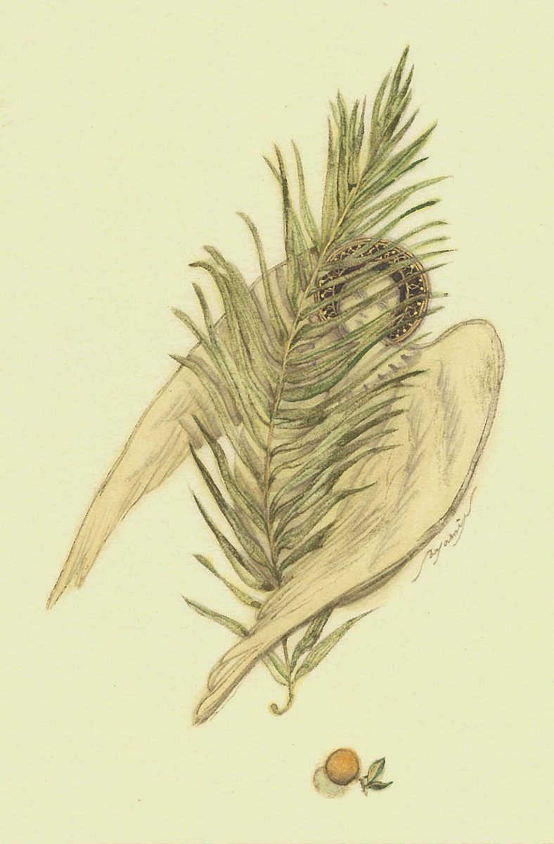 新年のご挨拶

昨年は様々な展示の機会を賜り、皆様との出会いに恵まれましたこと、心より御礼申し上げます。

今年は個展が３つ控えておりますので、変わらず精力的に活動してまいります。
本年もどうぞ何卒よろしくお願い申し上げます。

中島綾美

「落果の瞬き Blink of Fallen Fruit」（2025）