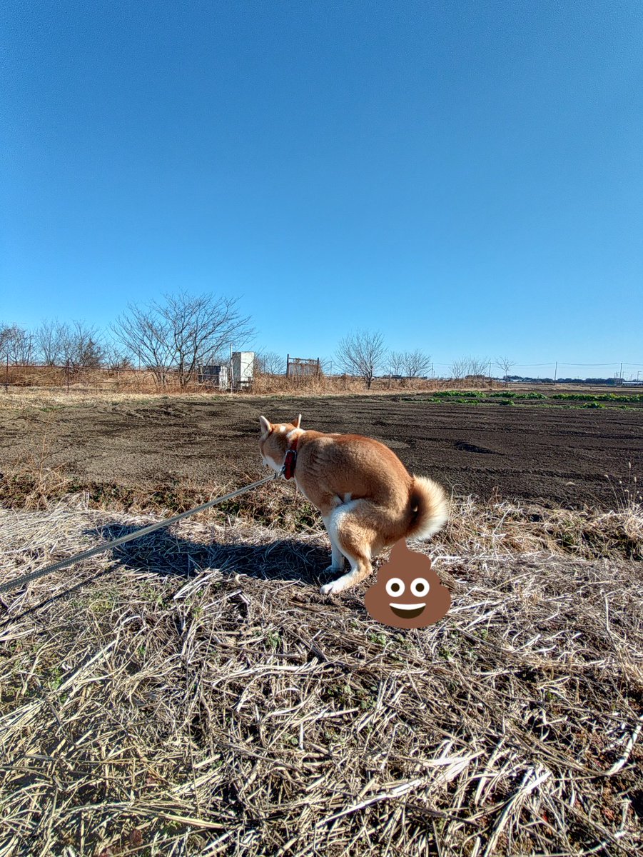 明けましておめでとうございます🌅
まあ、色々あると思いますが、今年も、良いウン勢でありますように。
よろしくお願いします😃