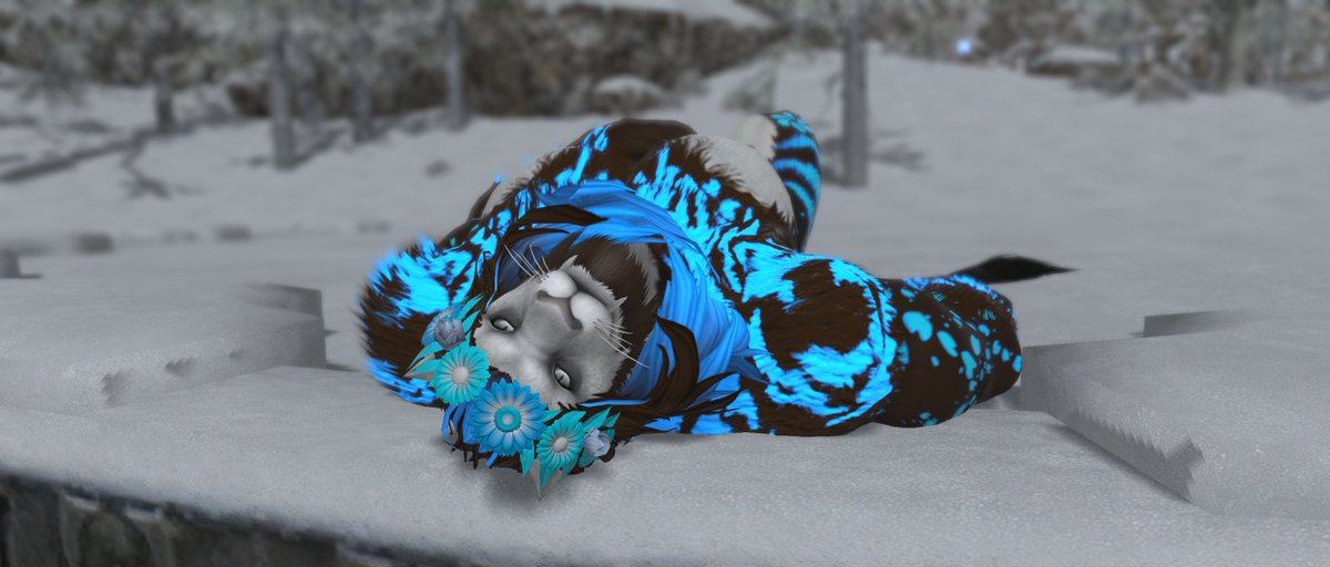 GodFather_North's tweet photo. It's getting rather cold lately and my fur has once again adapted to the weather🥶 https://t.co/AZVTrIVYqD