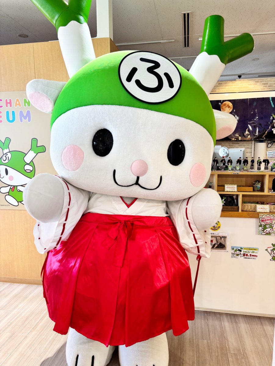 ふっかふか ⑅⃛ふっかちゃん公式アテンドしーちゃん⑅⃛ (@shi_chan_s2) / Posts / X