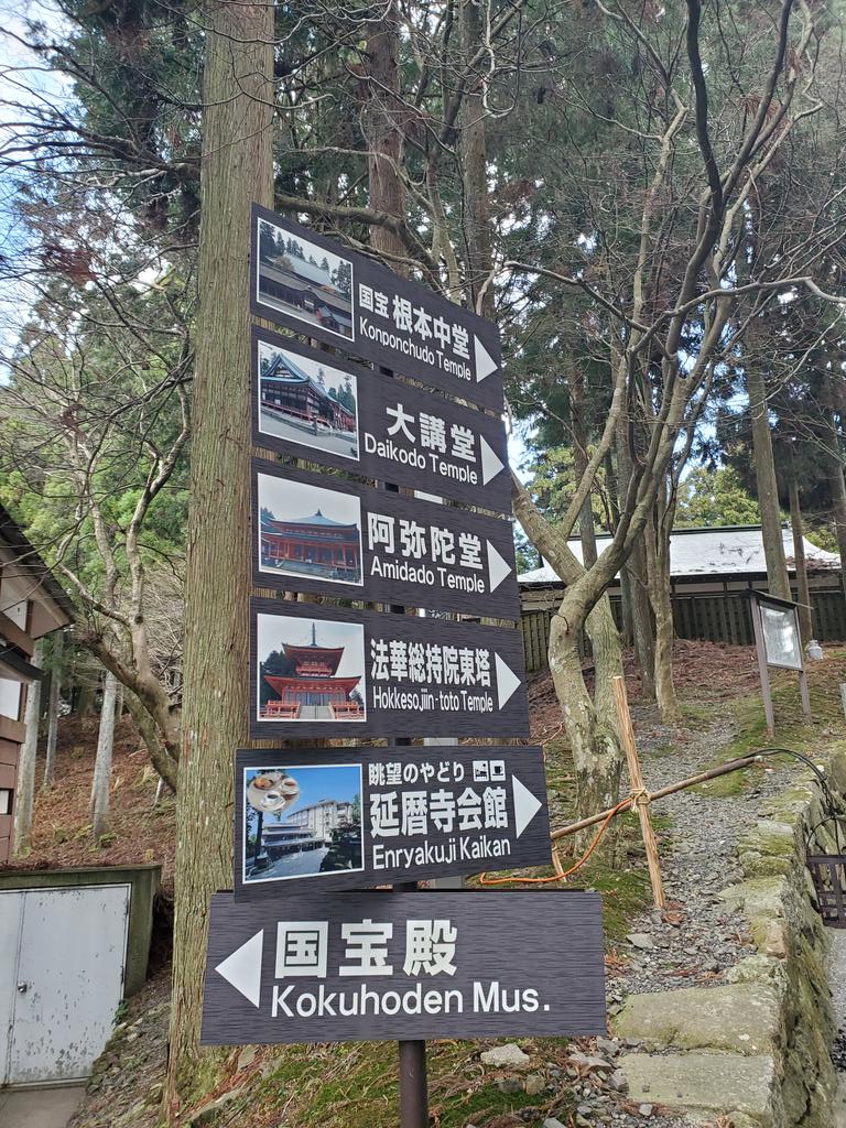 nipporea2 tweet picture