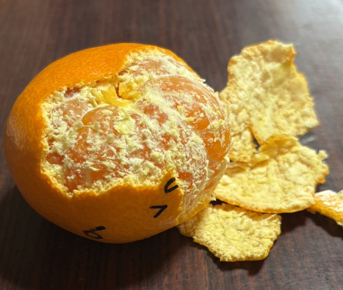 puchiko_15th's tweet photo. ビタミンほうふにゅ。 https://t.co/m0kMdV2JnX
