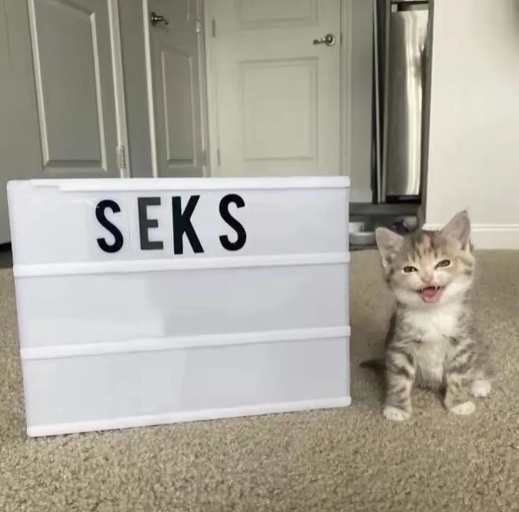 RoniNotSFW's tweet image. HAPPY NEW YEAR GUYSSS!!
Hope yall have a nice 2026 ✨✨