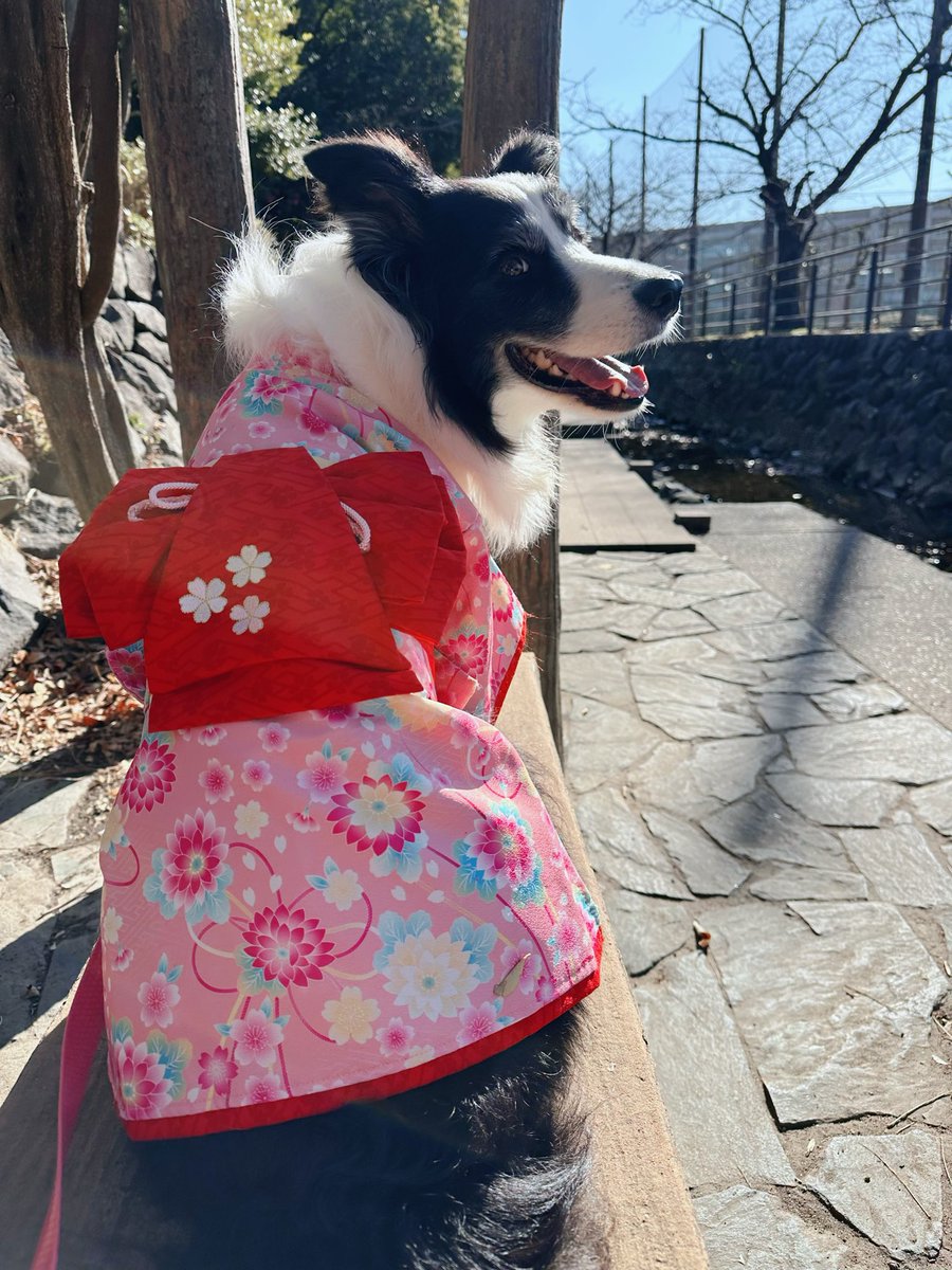 🎀𝐏𝐫𝐢𝐧𝐜𝐞𝐬𝐬 𝐑𝐮𝐛𝐲🎀 tweet media