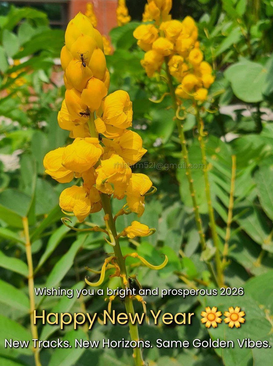 Rahul Sharma tweet media