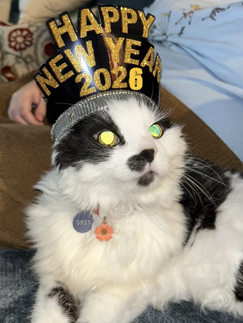 Vintage (2024) Oreo wants to wish everyone a fantastic 2026. Her love will never leave us