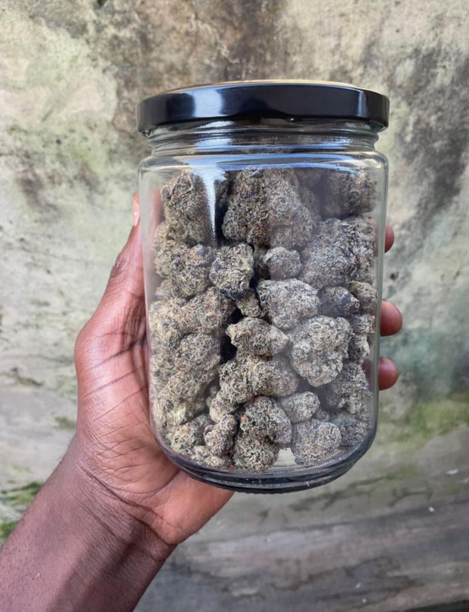 CalikushfarmsK's tweet photo. Order Now.
GET FREE Backwoods &amp; 
Calikush Brands Free . 
Half Ounce RUSSIAN CREAM / Garba Leaf FREE.Sells Cheapest California Stains https://t.co/M6OreSR0ZX