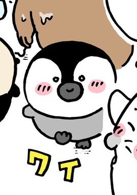 好き、、、 嬉しそうなペンちゃん好き