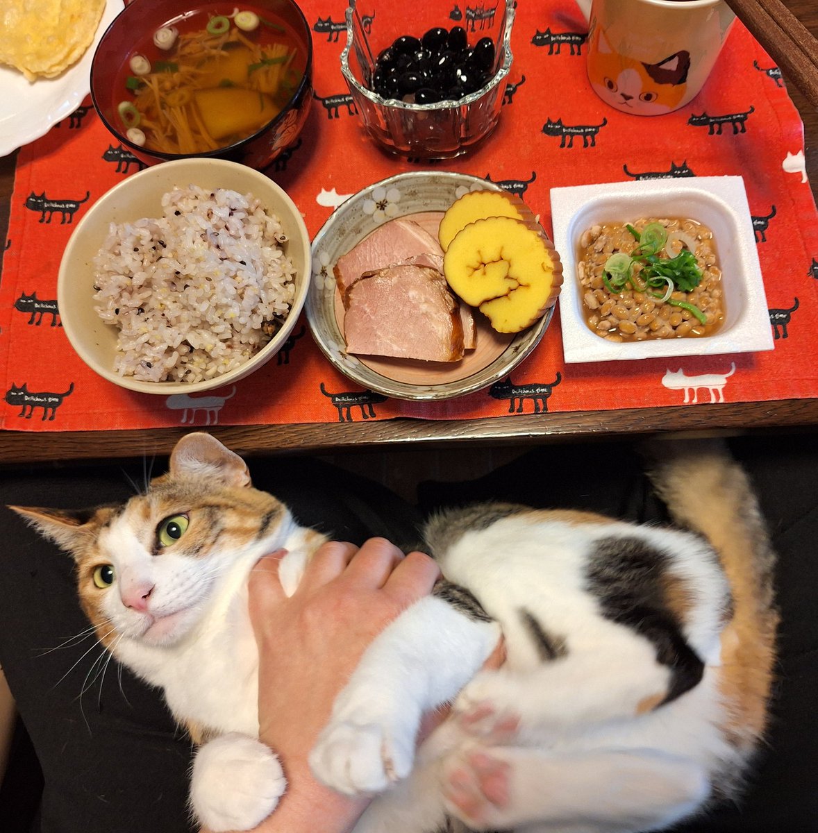 kawaii_nekoniko's tweet image. 五穀米チャーシュー伊達巻黒豆たべました