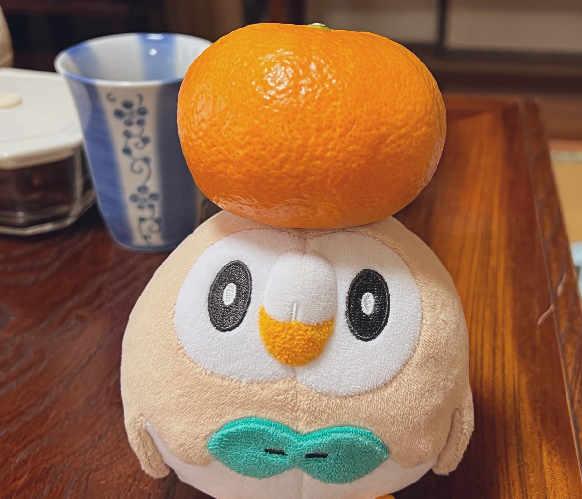 charlo_syaro's tweet image. 🍊
(((oθo)))