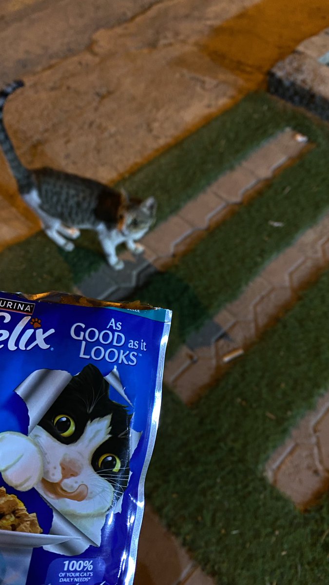 dm_9ia's tweet image. في كل كبد رطبة أجر 💙.