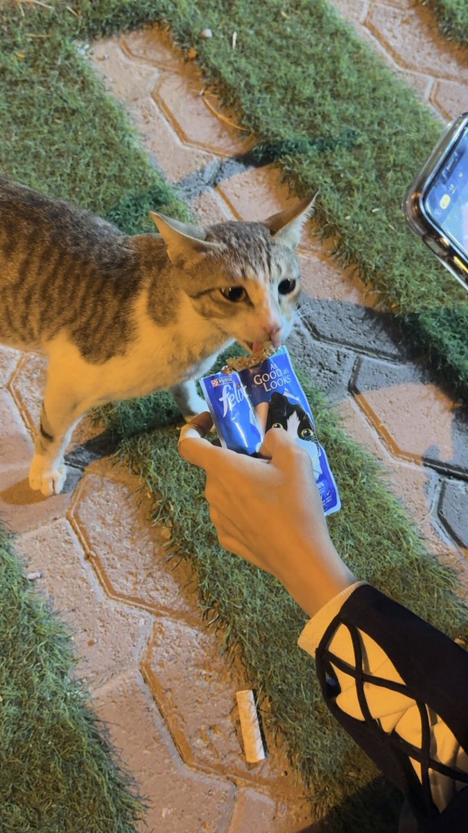 dm_9ia's tweet image. في كل كبد رطبة أجر 💙.