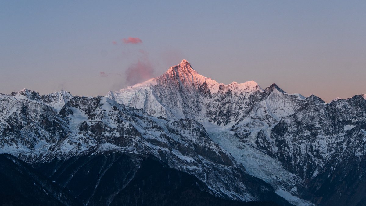 鈴 ヾ(・ω・*)ノ tweet media