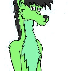 NotRealTalvin's tweet image. #HappyNewYear2026 #NewYear2026 #NewYearsDay #HappyNewYear #sixseven #furry #furryart #TalvinZvestal