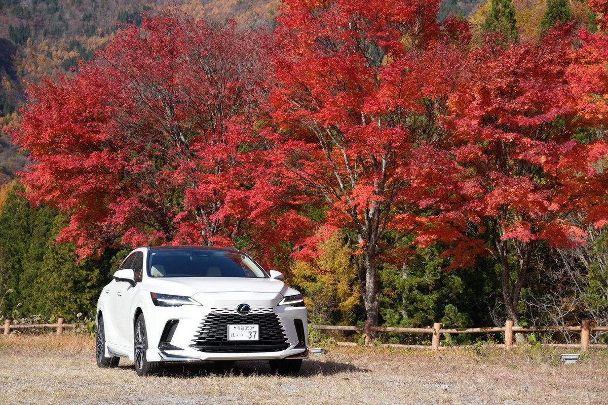 あけましておめでとうございます🎍🐴
今年もよろしくお願いします🙇