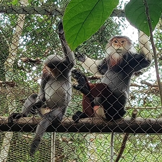 Happy new year from the future y'all.