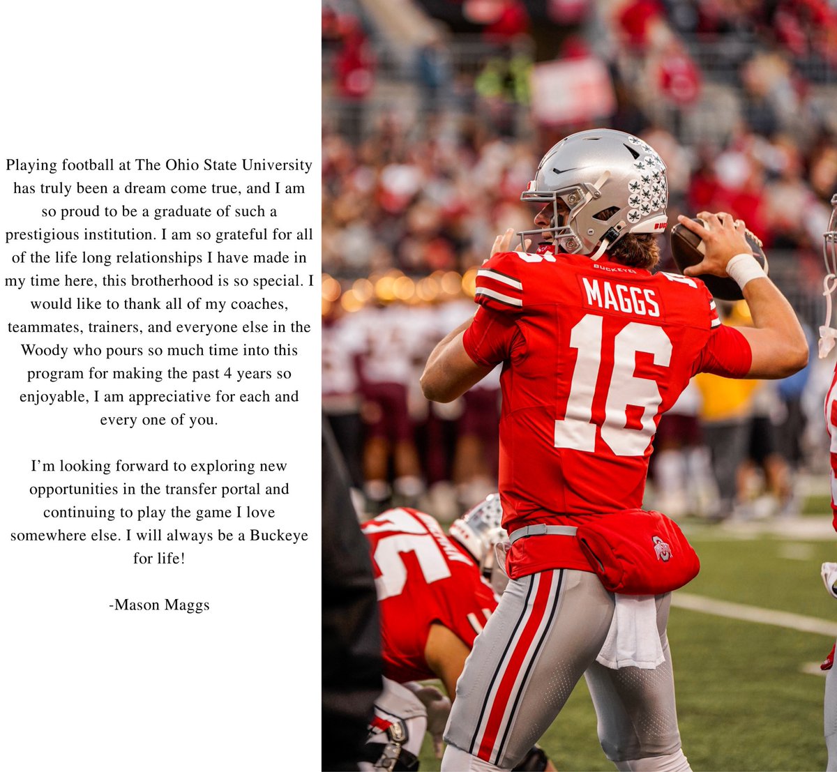 Mason Maggs tweet media