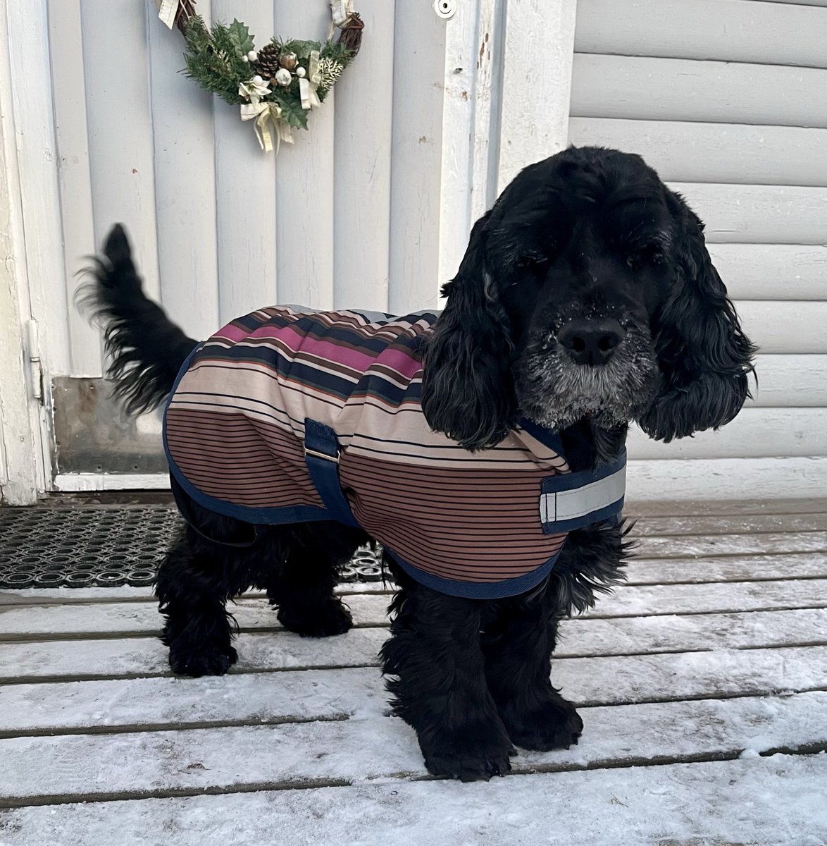 SomeRepe tweet media