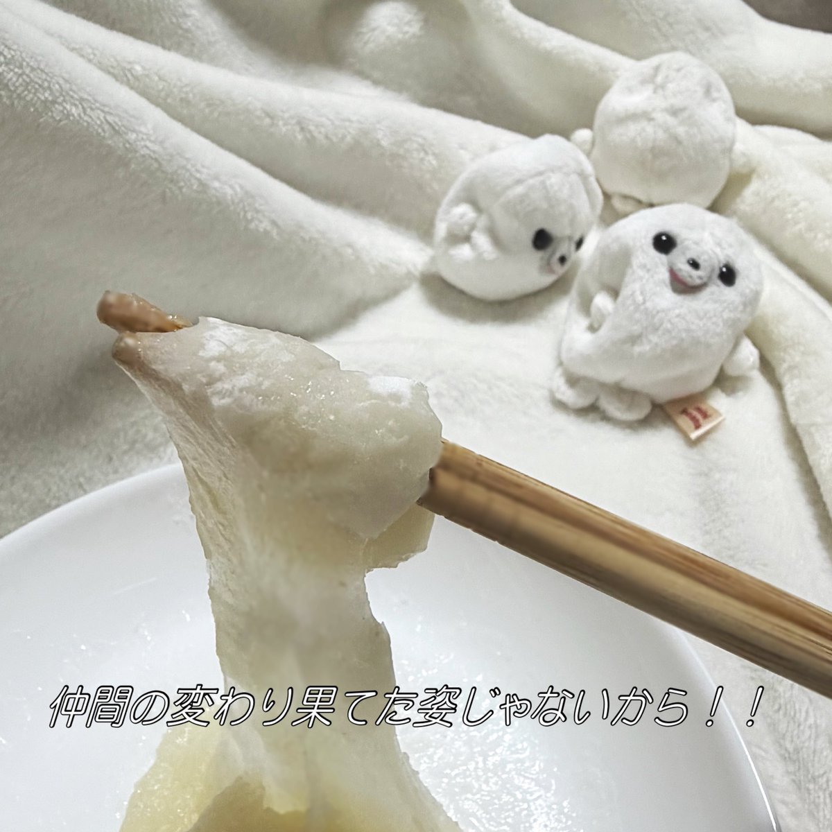 伸びるモチ、逃げるアザラシたち