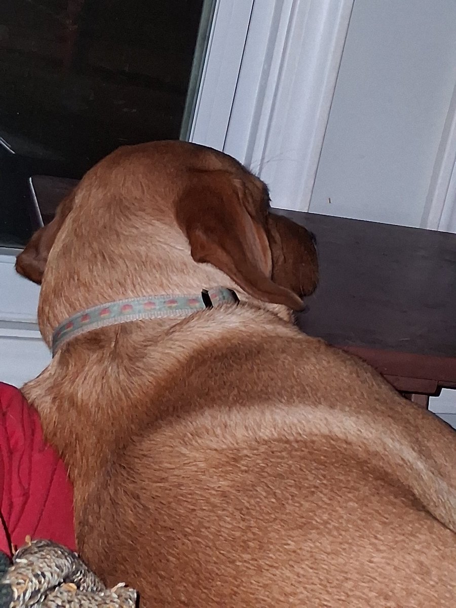 CJAndDJ2's tweet image. Using the side table as a pillow
#strange