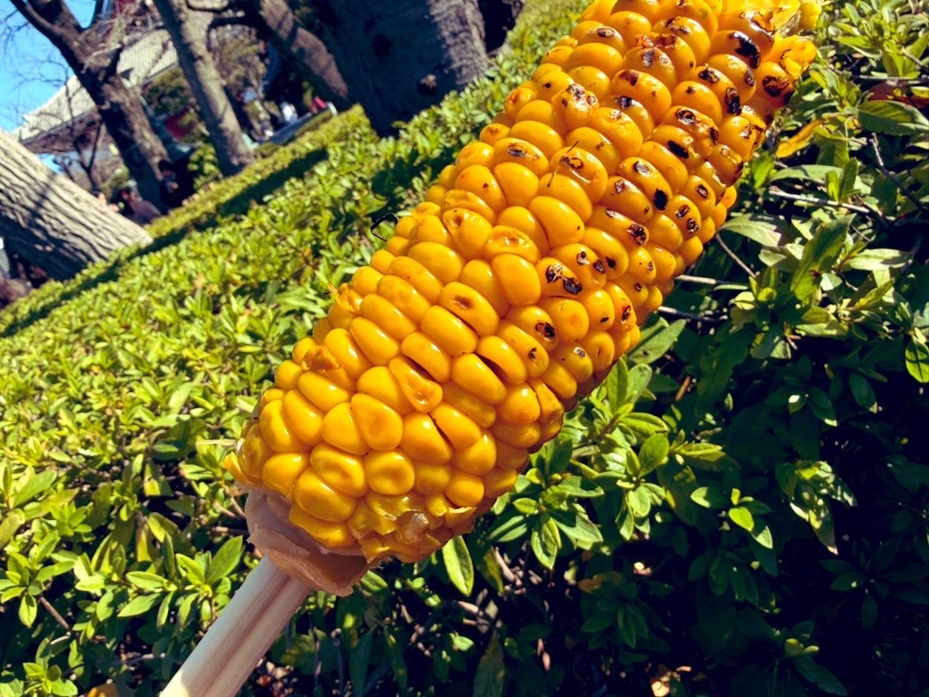 ⛩🌅2026年🎍🐴
明けましておめでとうございます

元旦からしっかり食べてます( ‘ч’ )ŧ‹”

また今年も美味しいもの食べて飲んで
歌って働いて全力で生きます💪

宜しくお願いします(*.ˬ.)"

                                                    Assia