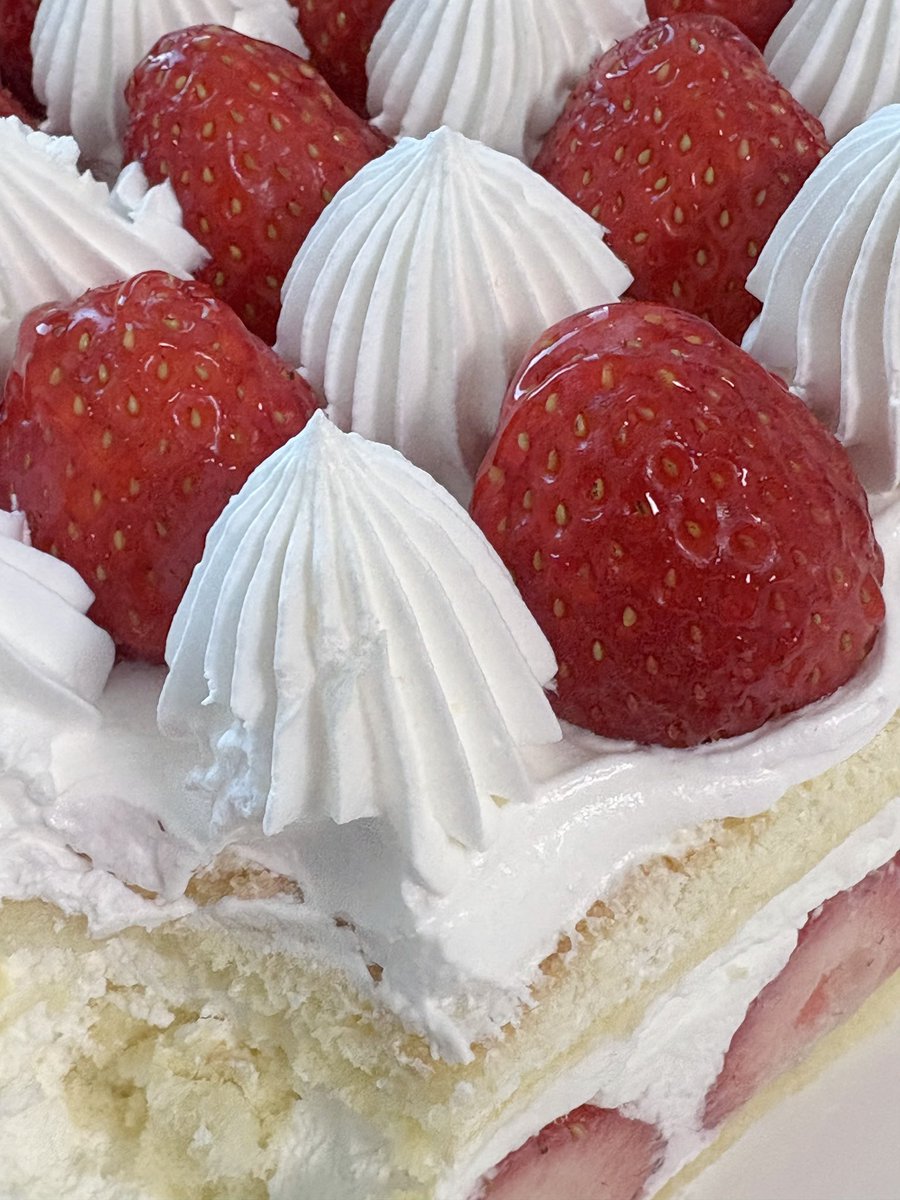 1월 1일 케이크는 무조건 딸기케이크...🍓
