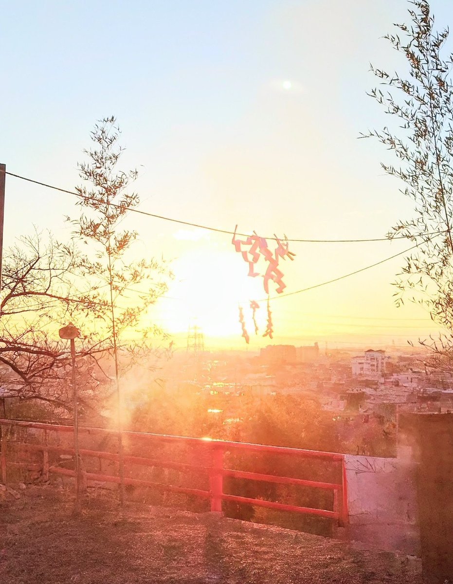 〈初詣〉😺

明けましておめでとうございます🙇

2026年元旦の朝😌

宝塚中山寺😊

嫁様と89歳になる嫁母も連れて初詣へ😆

今年も平穏無事をお祈り🙏

お天気も良く初日の出も🌅

何年たってものんびりした
日本🇯🇵のお正月が好きですね😌

皆様にも良い一年でありますように🙏

今年も頑張るニャ〜😹