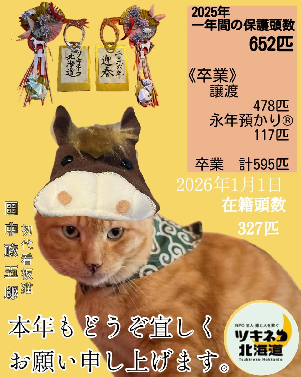 ツキネコカフェ (@tsukinekocafe) / Posts / X