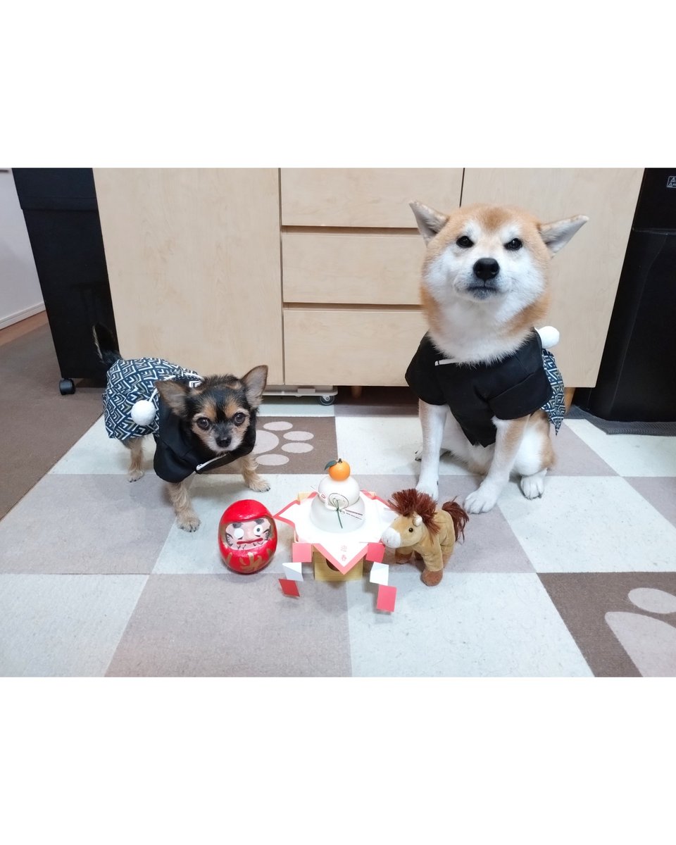 龍ちゃんズとよっちゃんみっちゃん (@ryuchan123bro) / Posts / X