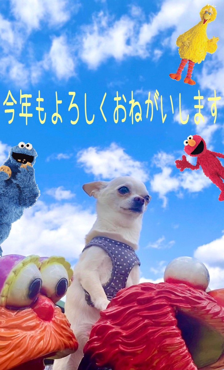 本年もディノ共々よろしくお願いいたします🙌

2026年が皆様にとって幸せ溢れる一年となりますように🍀