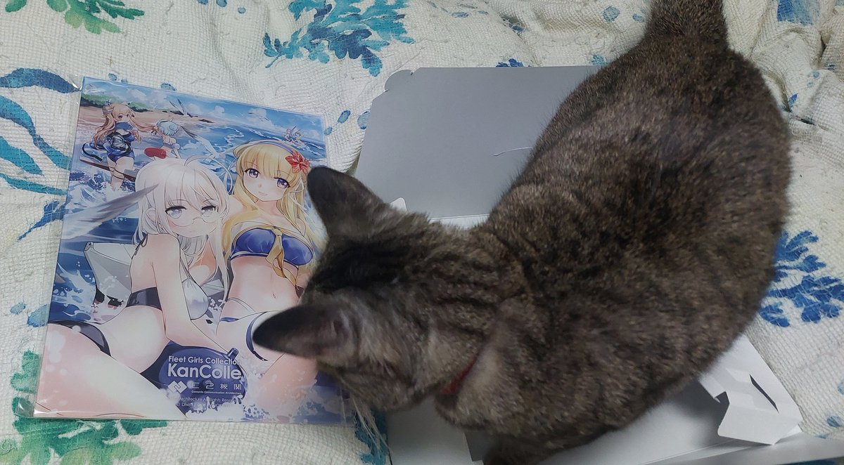 ヘイウッド関連のグッズを差し入れてくれた方、本当にありがとうございました!棚に飾ります 