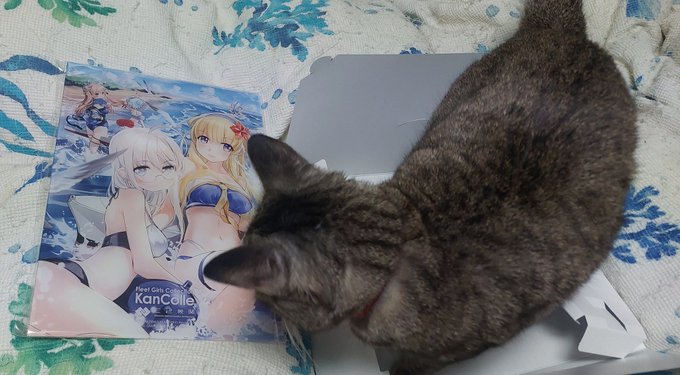 ヘイウッド関連のグッズを差し入れてくれた方、本当にありがとうございました!棚に飾ります 