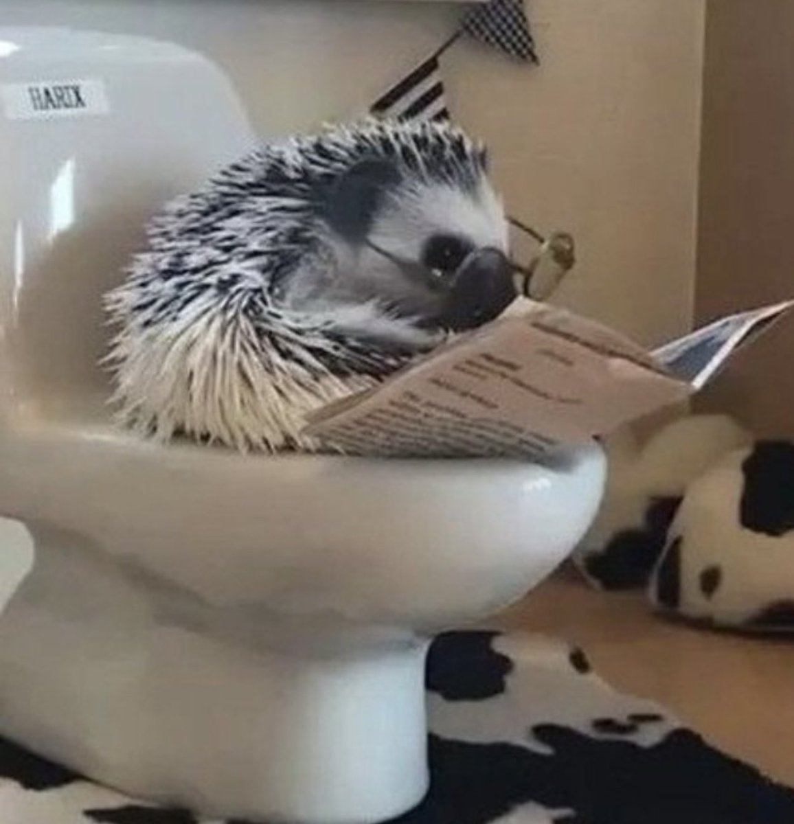 El médico de abordo 🌻 tweet media