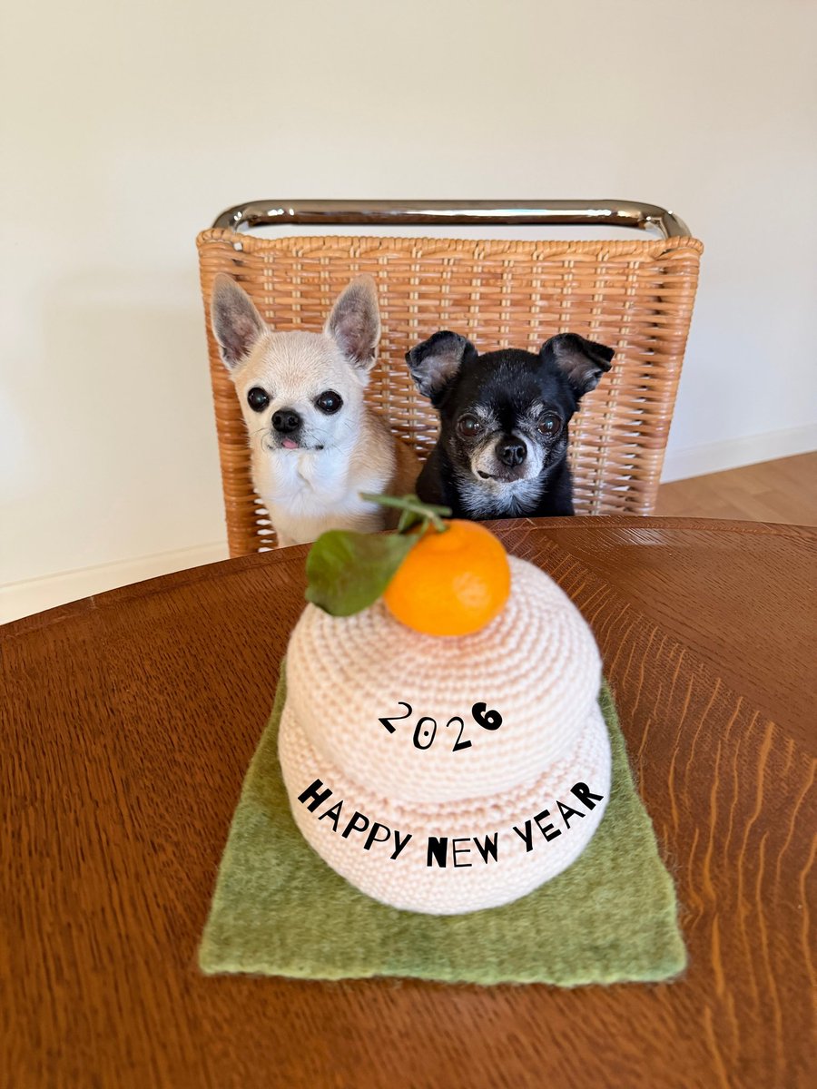 東海えりか (@knit_e) / Posts / X