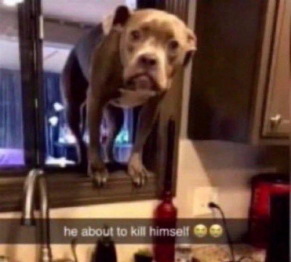 mike every time he sees lumax being all lovey dovey