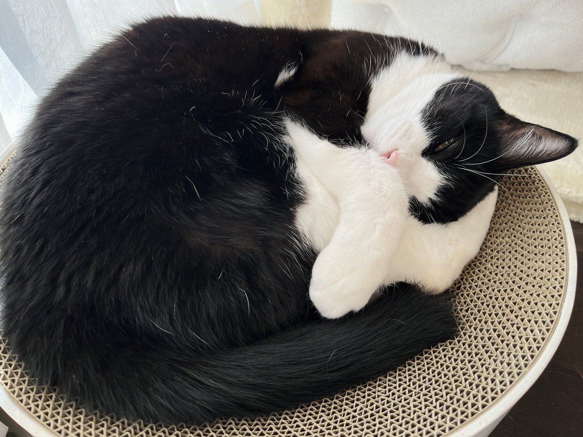 元旦もかわいいネッ