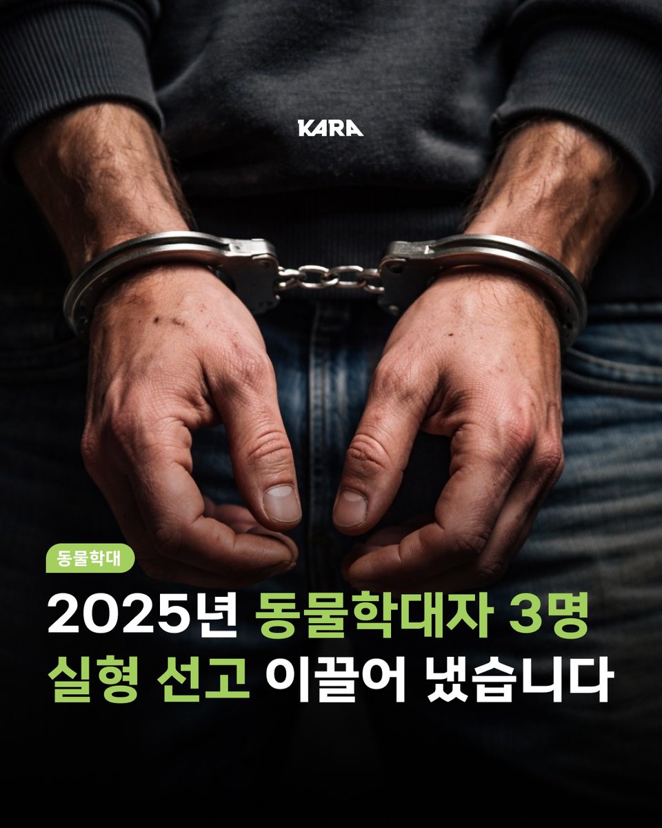 동물권행동 카라 tweet media