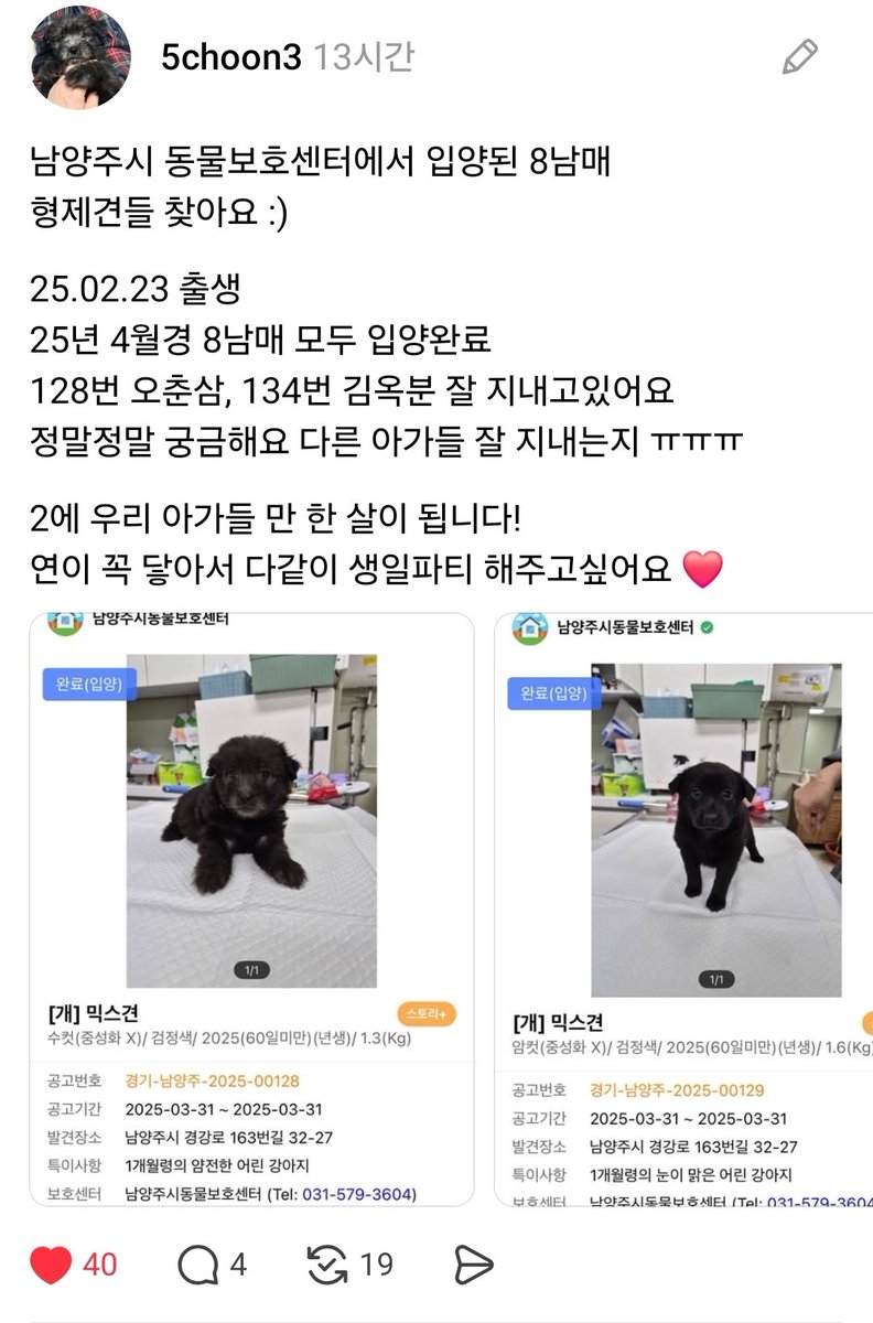 🐶입양간 형제견들을 찾습니다🐶
2025년 4월에 남양주 동물보호센터에서 아기강아지를 입양하신분 계신가요?
춘삼이 보호자님이 형제 강아지들이랑 2월에 생일파티 하고 싶으시대요🤭🤭
🧡귀여운 소식이니 널리 전파해주세요🧡