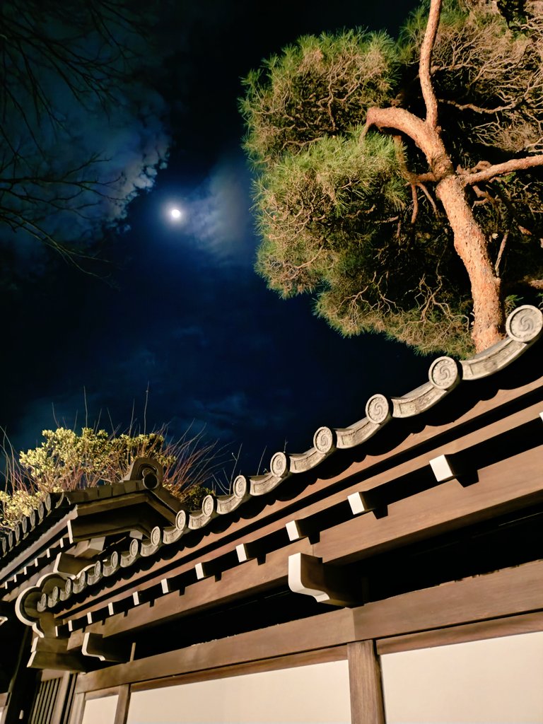 あけましておめでとうございます🎍
本年もよろしくお願いします😊

年越しには除夜の鐘をつかせてもらいました✨
良い年になりますように✨