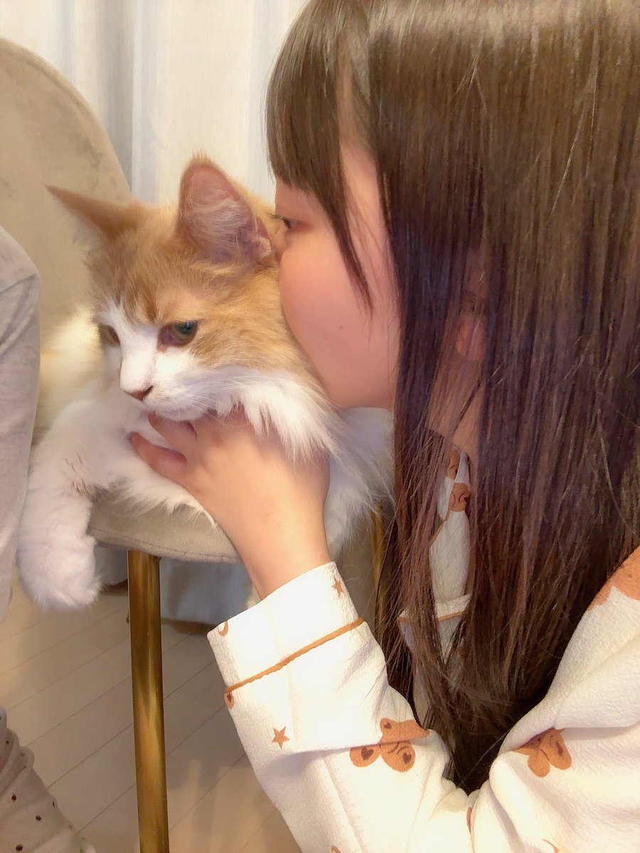年越し猫吸い🐈
今年もよろしくお願いします♡ https://t.co/sby4Yn3WjU